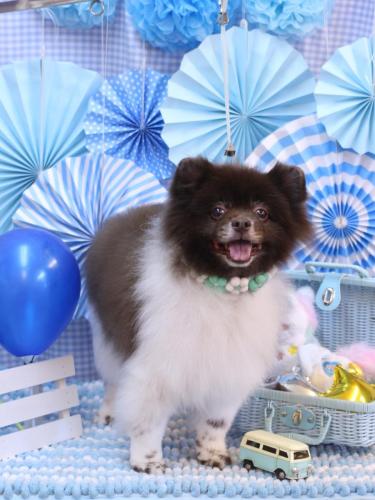 20231124太郎くん